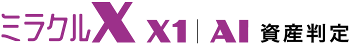 ミラクルX　X1｜A1 資産判定