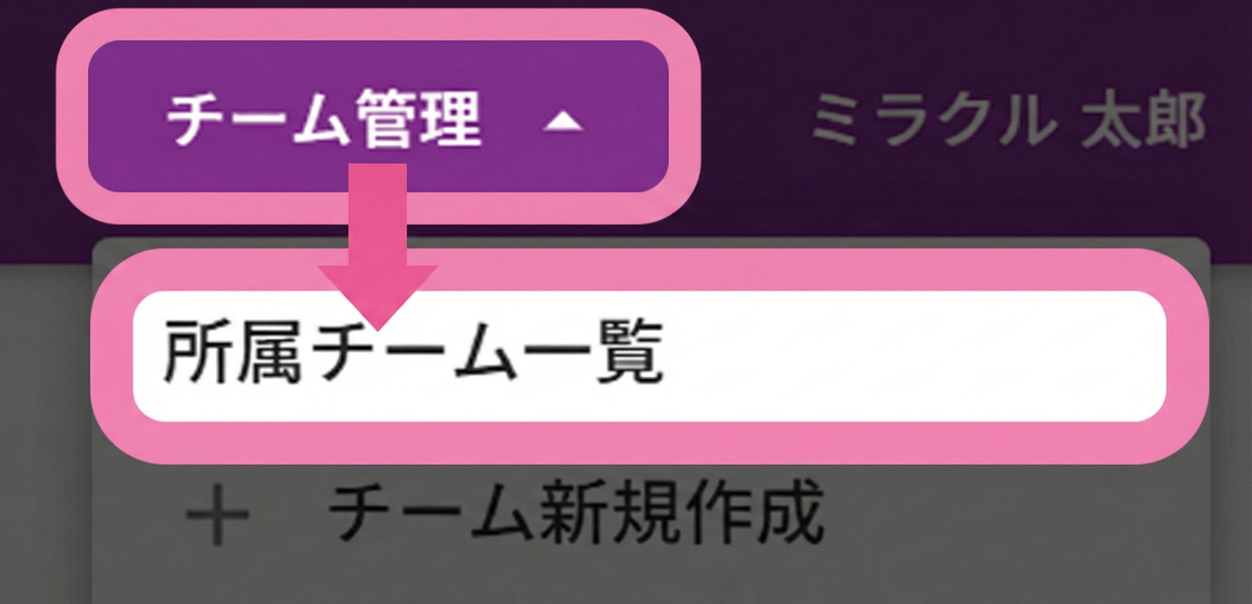 チーム管理メニュー